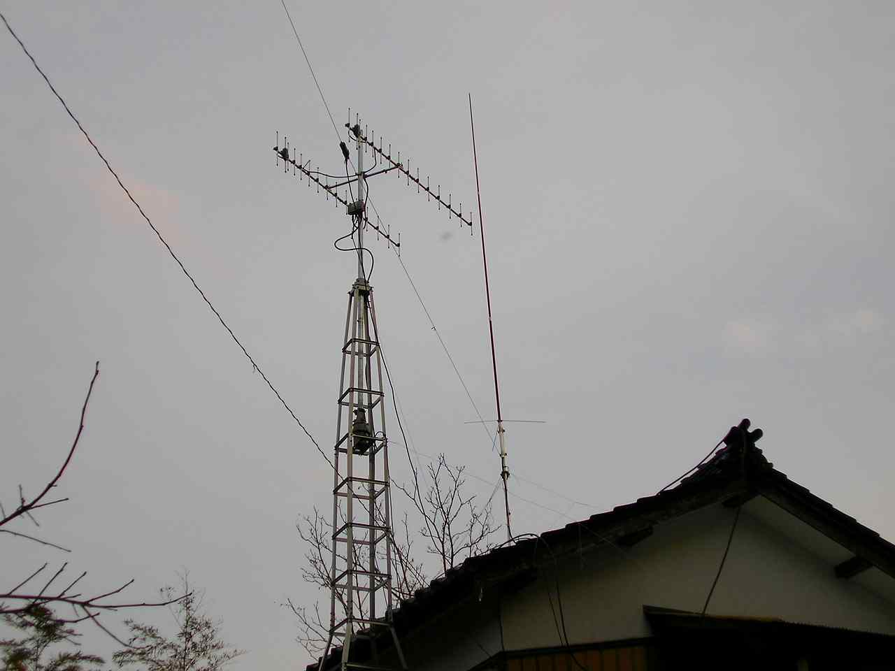 SANY0001.jpg(50348 byte)